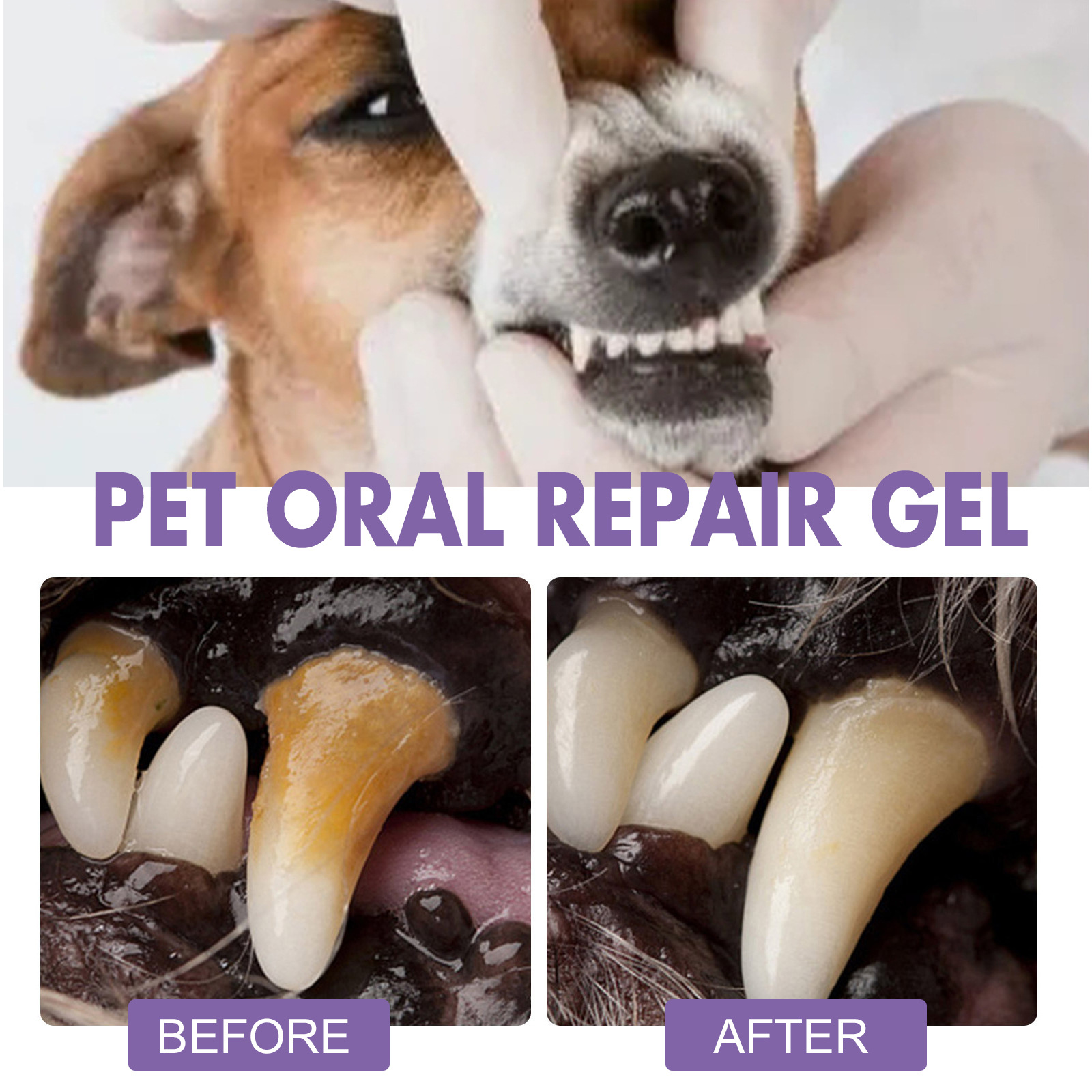 Pet Oral Repair Gel Puppy Tart - Teeth Whitening Price ulasan dan harga